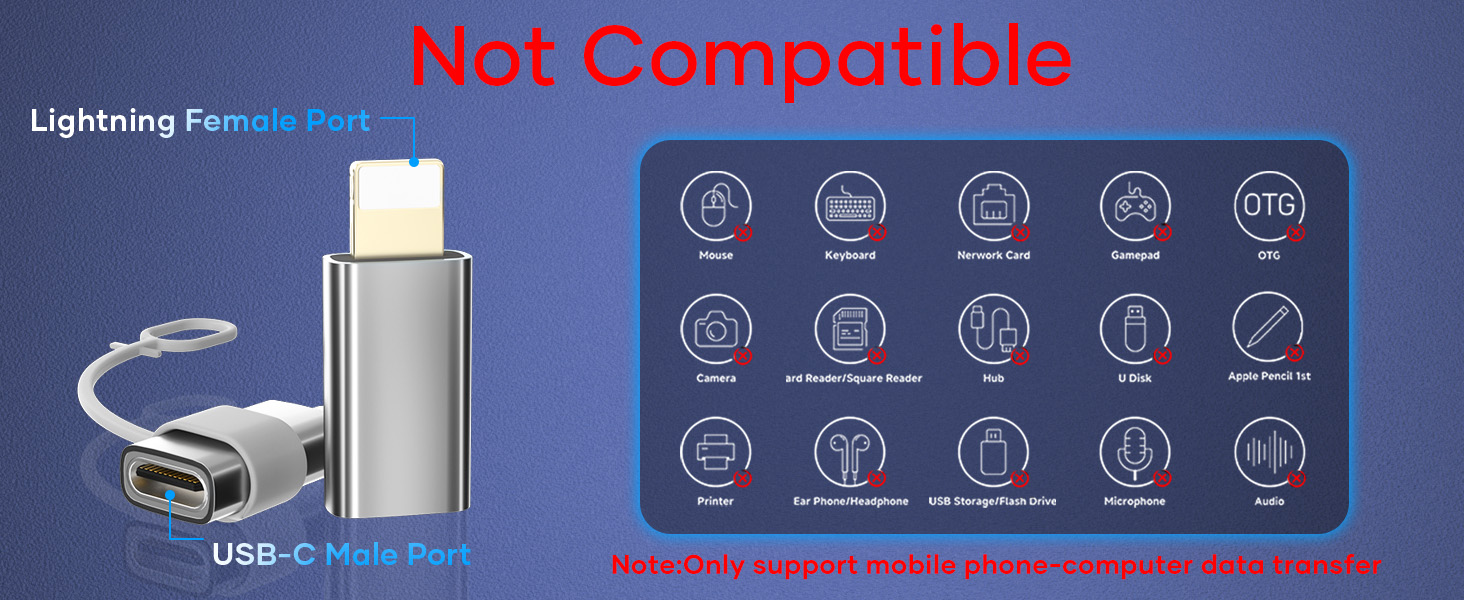  USB C to Lightning Adapter