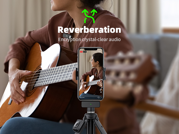 Reverberation Mode of Wireless Microphone