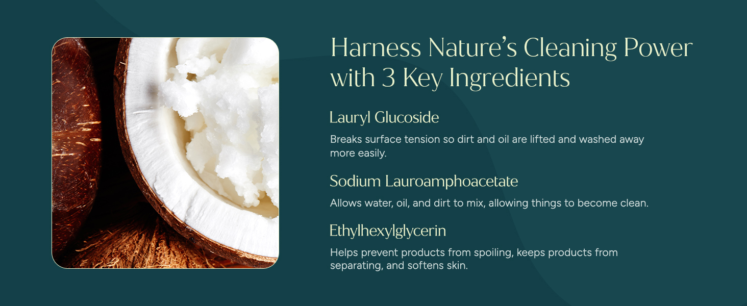 Close-up of a coconut showcasing Lauryl Glucoside and Sodium Lauroamphoacetate ingredients.