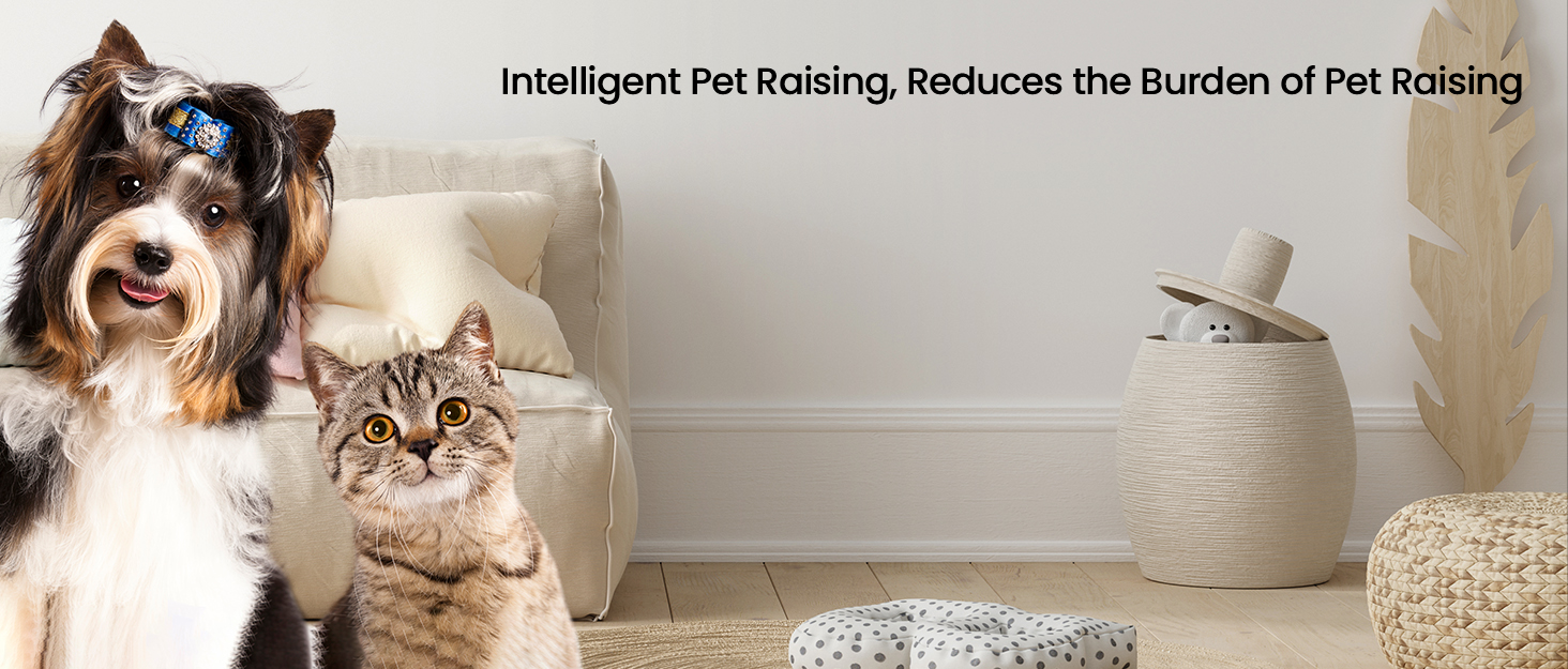 automatic cat feeder