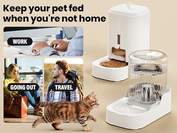 Keep your pet fed