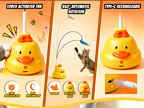 Interactive Cat Toys