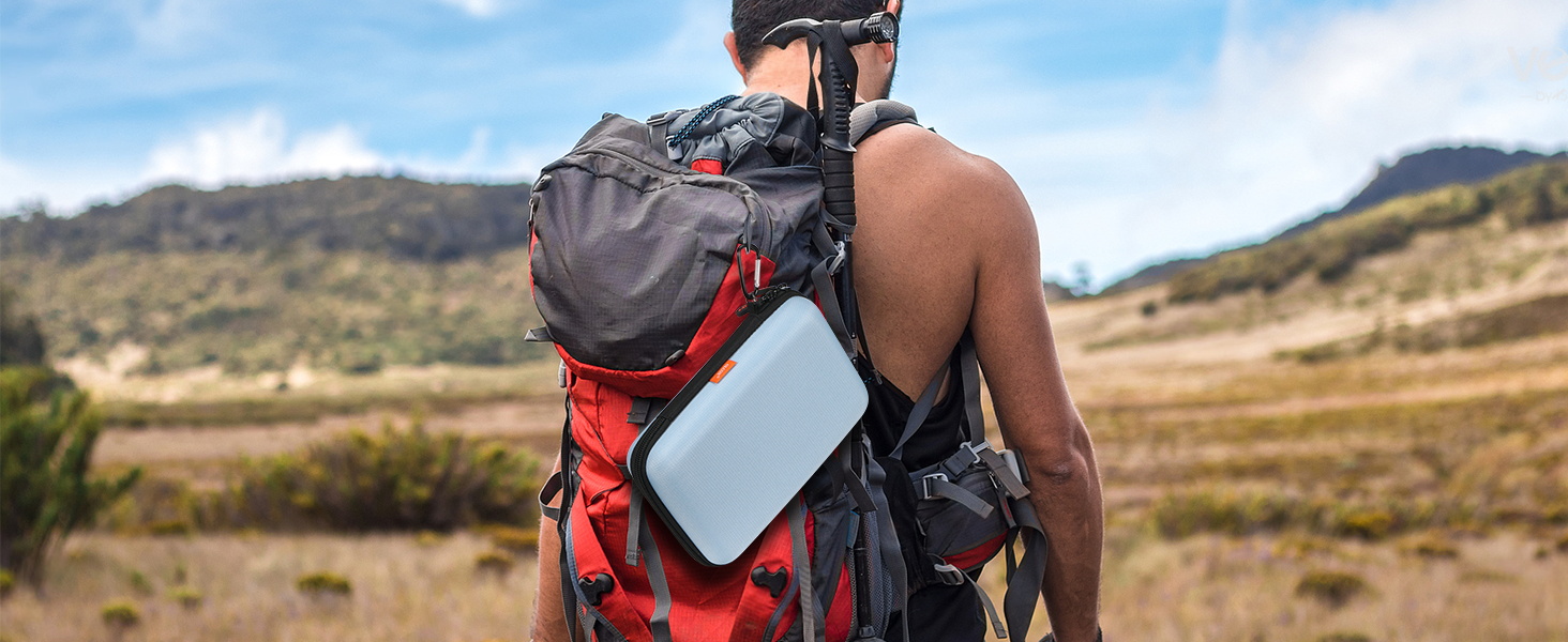 light blue case