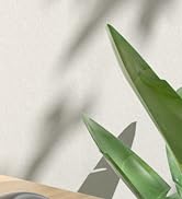 Ergonomic Wireless Trackball Mouse