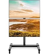 5Rcom Rolling/Mobile TV Cart with Wheels for 32 to 55 Inch LCD LED 4K Flat Curved Screen Vertical...