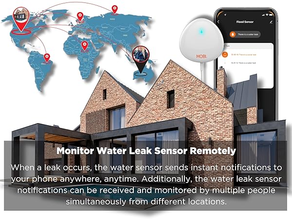 Smart Home 2.4GHz Wi-Fi Water Leak Sensor and Water Sensor