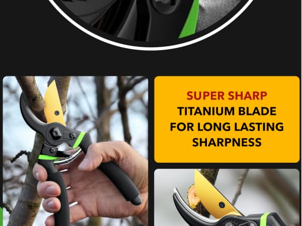 pruning shears