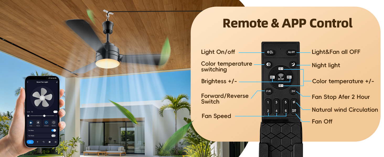 Plug in Ceiling Fan Light