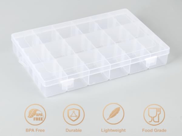 Clear Compartment Storage Container