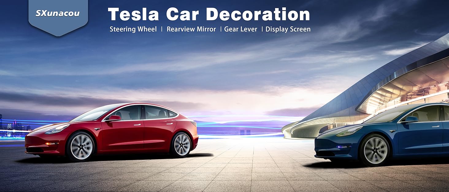 Tesla car decoration
