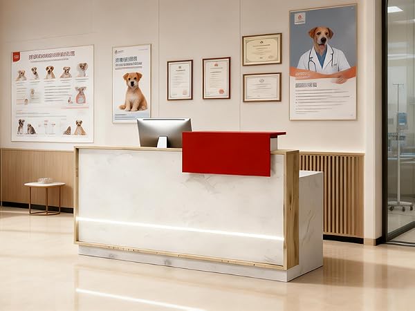 Modern Reception Desk with Counter