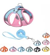 Harness Small Sized Dog, No-Pull Puppy Vest with Leash Set, Breathable Mesh Reflective Pet Harnes...