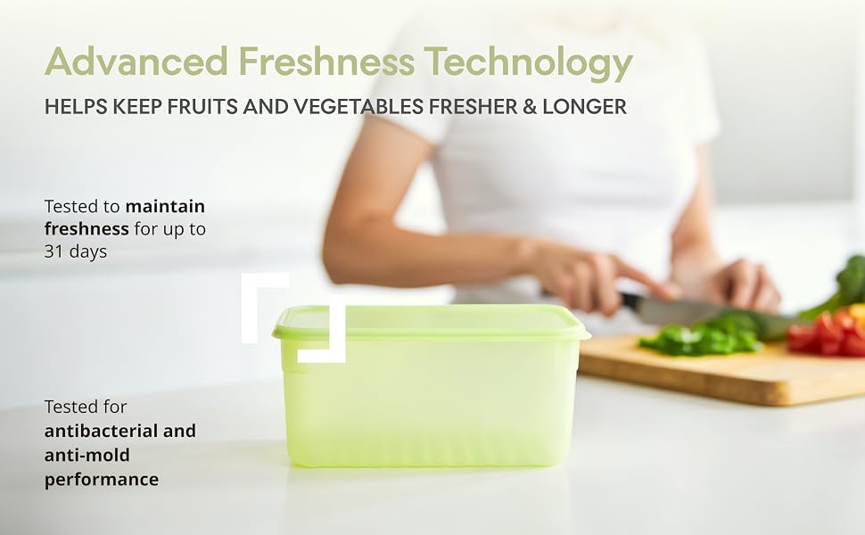 LocknLock Fresh-Block Plastic Food Storage Container | Produce Storage Containers for Fridge