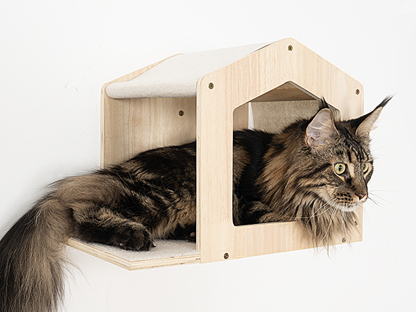 Spacious Cat Condo
