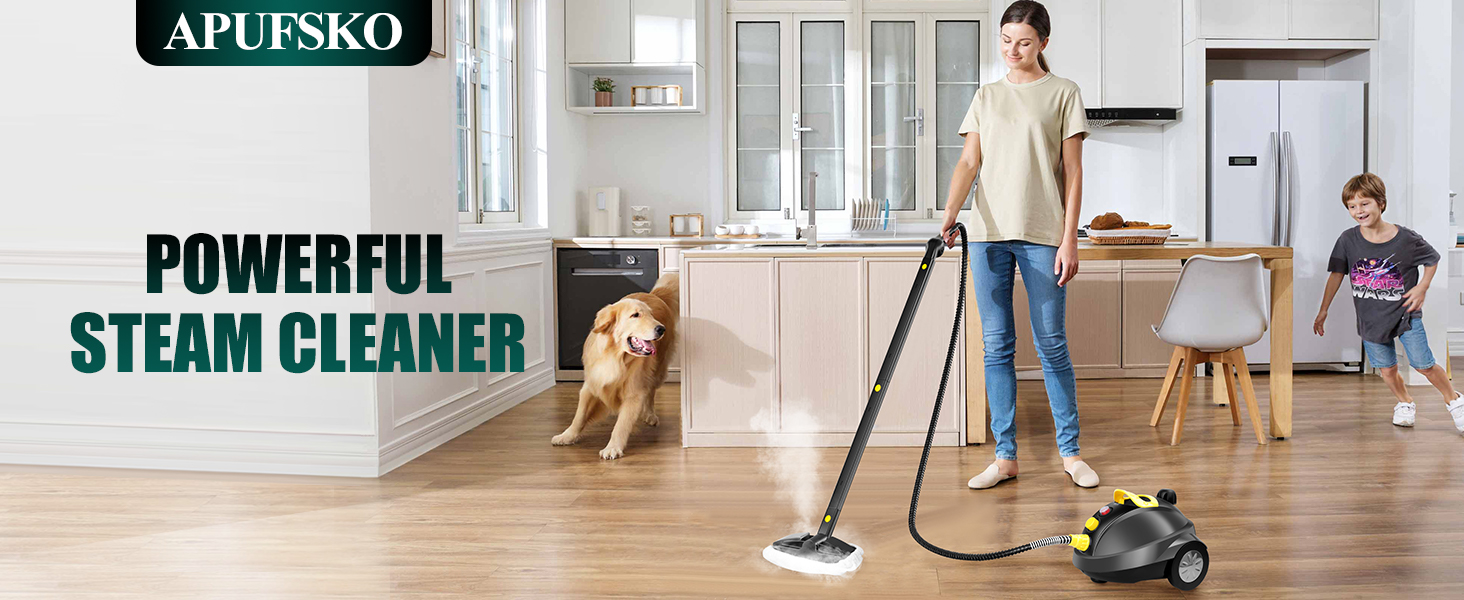 steam cleaner