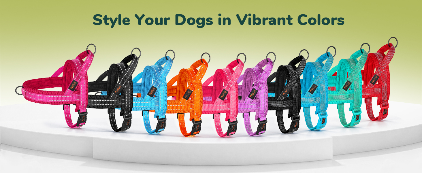 front clip dog harness