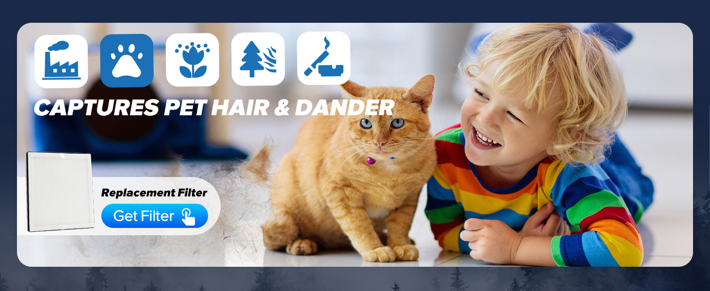 air purifiers for home large room