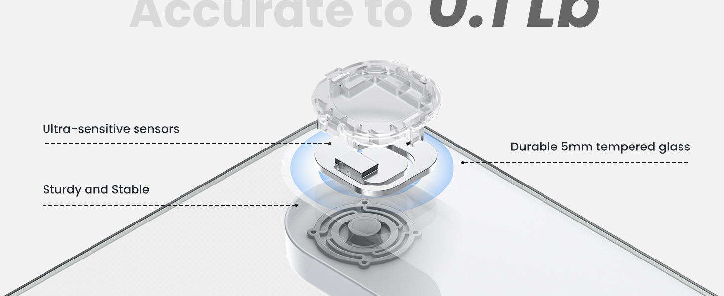 scale for body weight