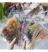 MAXLEAF Transparent Waterproof Stickers Set - 48PCS Vintage Plants Flowers Collection Big Size Wa...