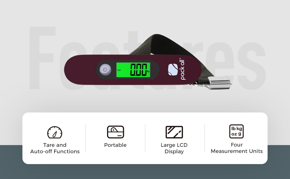 luggage scale