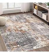 Area Rug Living Room Rugs - 5x7 Washable Large Soft Indoor Neutral Modern Abstract Low Pile Rug C...
