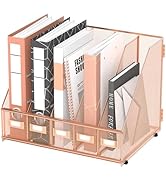 DALTACK Desk Organizers Metal Magazine File Holder with 5 Vertical Compartments Folder Storage Bi...