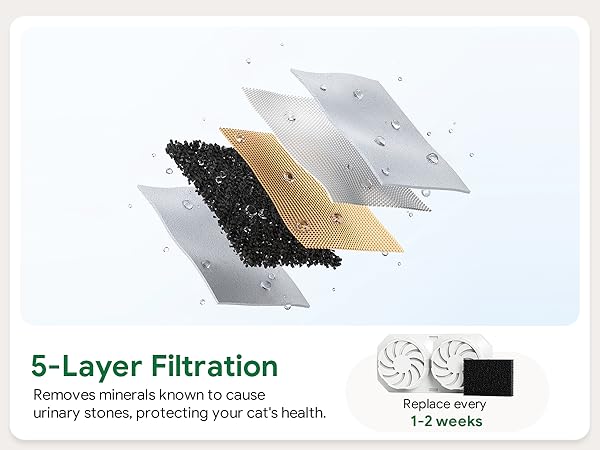 A 5-layer filter removes harmful minerals to protect your cat's health; replace every 1–2 weeks.