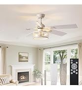 Depuley 52-Inch Ceiling Fans with Lights: Caged Ceiling Fans Dual Finish 5 Blades - Rustic Ceilin...