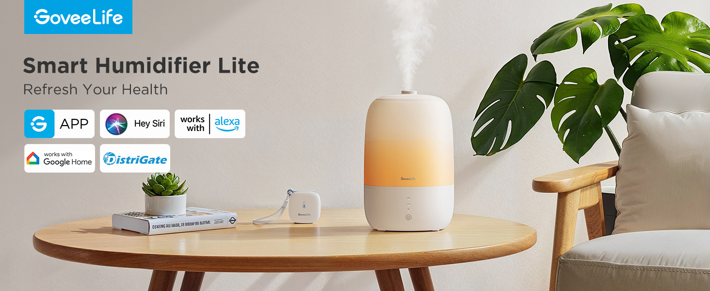 smart humidifier
