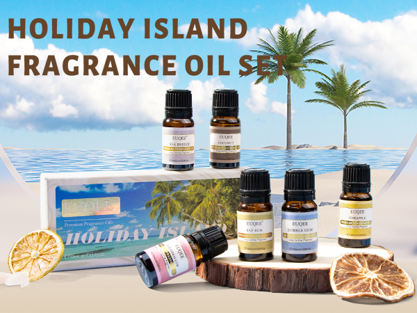 6pcs Premium Fragrance Oil Gift Set 10 ML Fragrance Oils for Diffuser &amp; DIY Candles