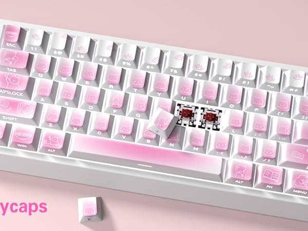 cherry mx keycaps