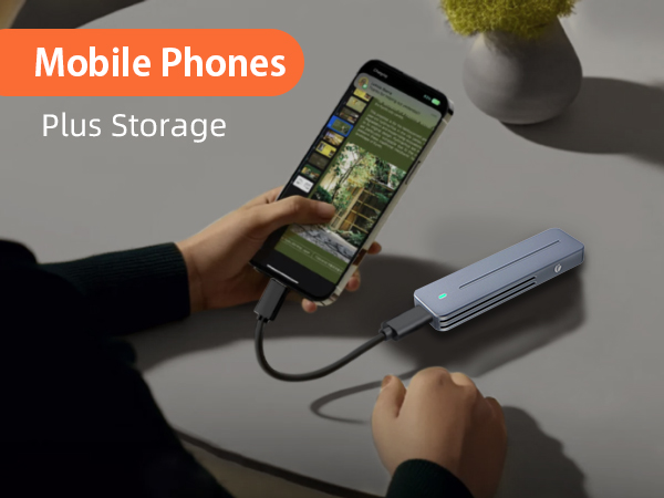 M.2 NVMe SATA SSD Enclosure