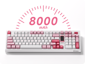 8000mAH