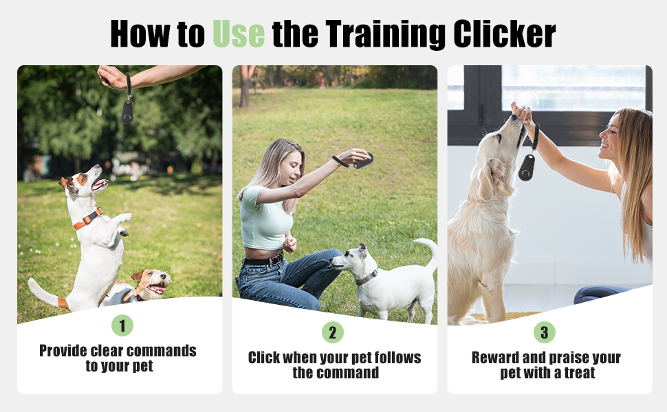 Training Clicker
