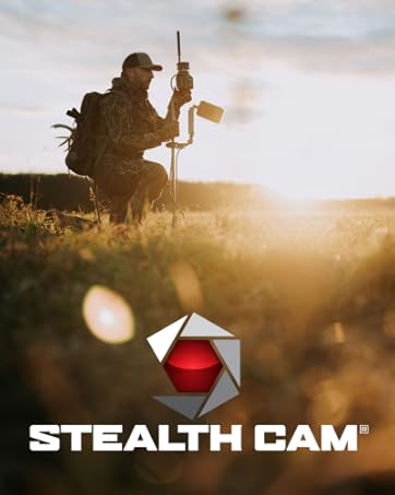 stealth cam