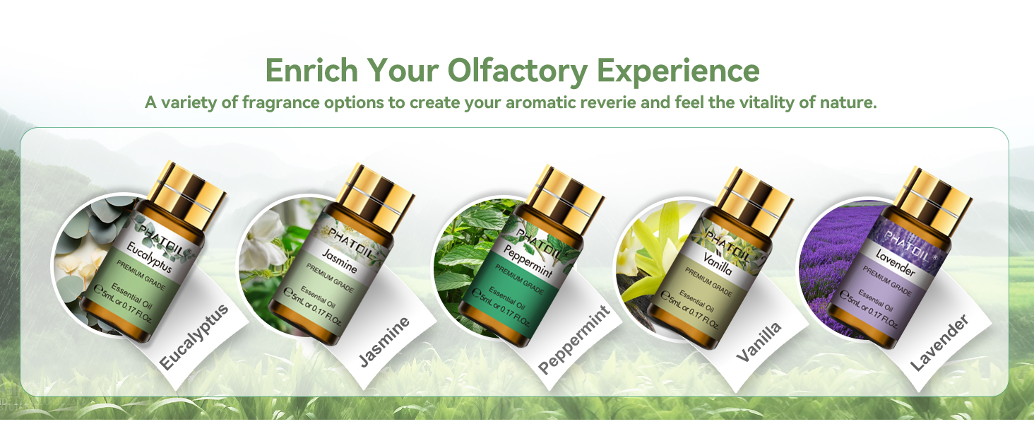 PHATOIL Essential Oils Gift Set