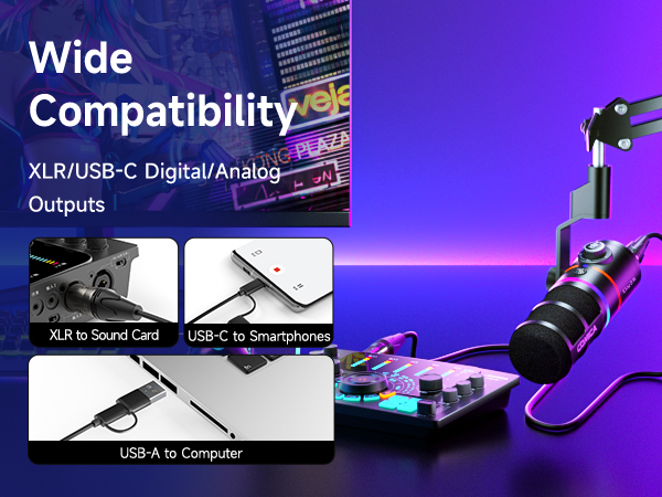 Digital/Analog Dual Output