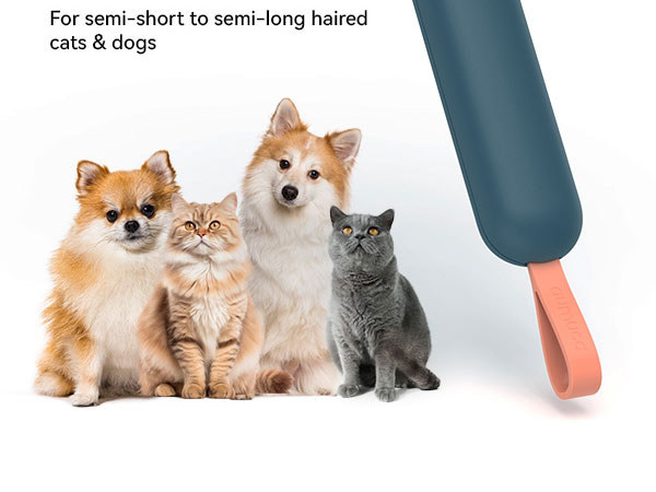cat brush dog brush for shedding