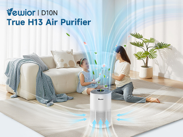 D10N H13 Air Purifier