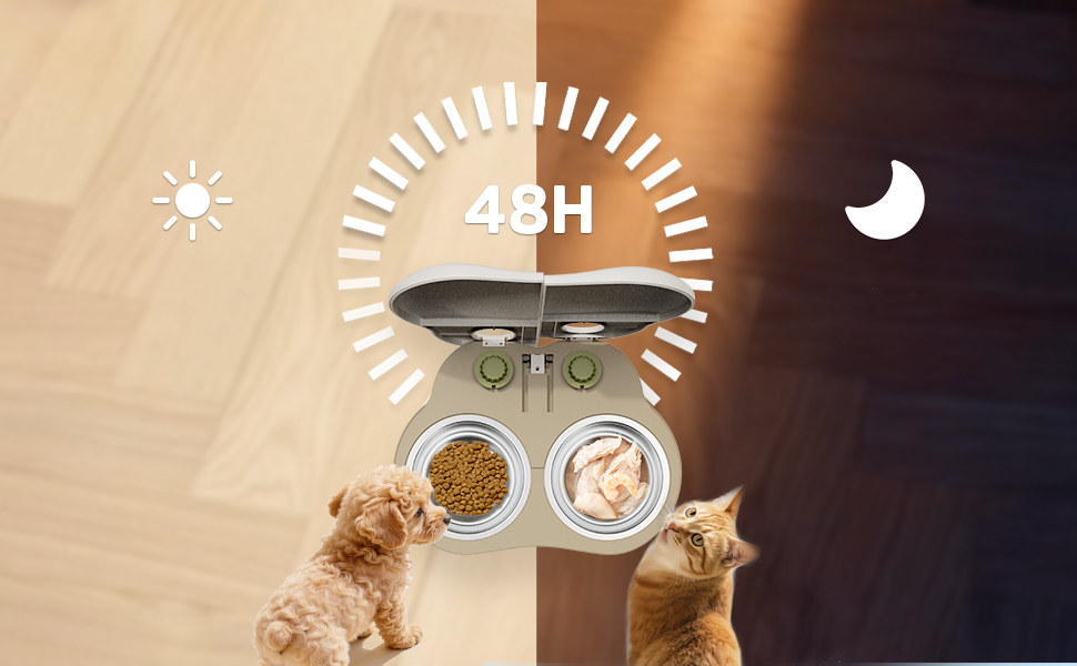 automatic cat feeder wet food 2 pets, Timer function