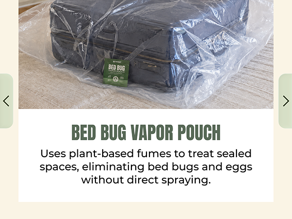 bed bug killer indoor safe pets kids bedbugs