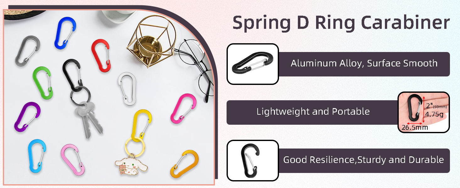Small Carabiner Clip