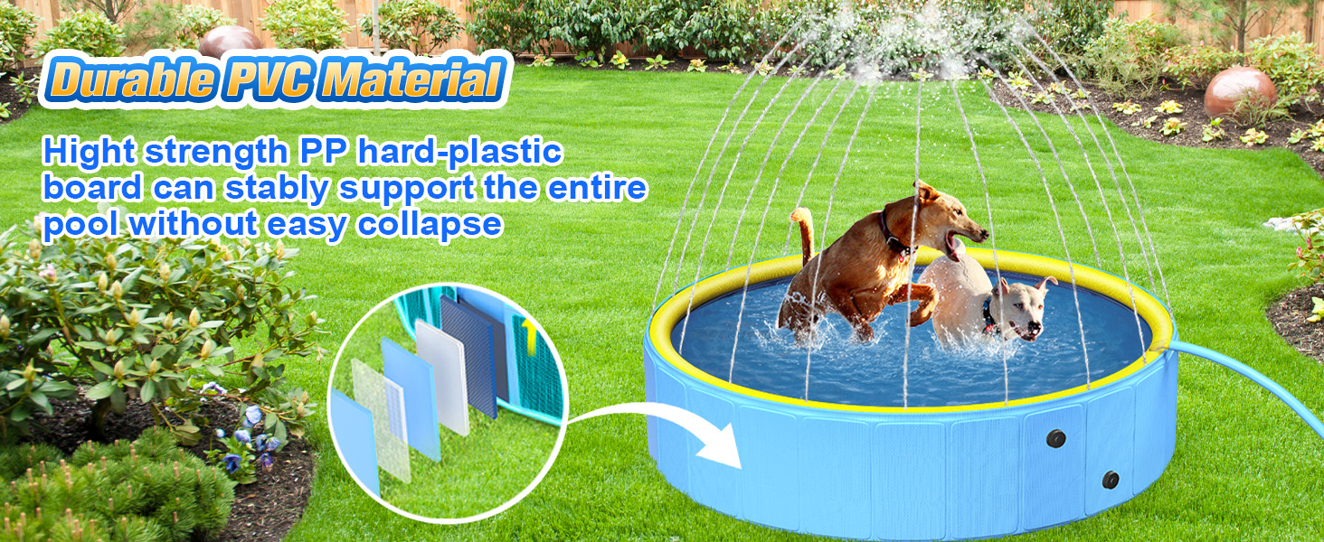 pet pool