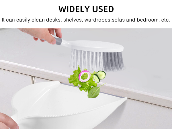 Dust Pan and Brush Set