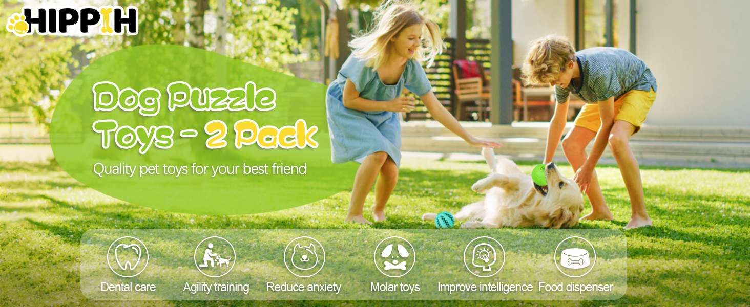 dog puzzle toys