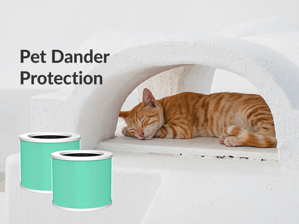 air purifiers for home