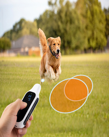 Dog Training Collar with Remote Control