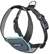 Carsafe Dog Travel Harness Black Medium