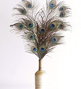 Peacock Feathers