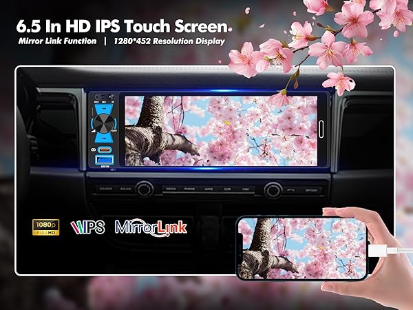 IPS Touch Screen